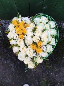 White and yellow Roses heart