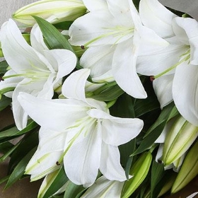 White Lily Bouquet