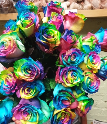 Rainbow rose hand tied