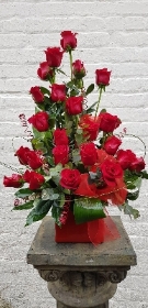 Luxury red rose