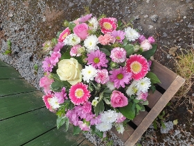 Pink and white posy