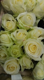 White rose hand tied