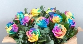 Rainbow rose hand tied