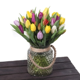 Mix tulips in vase
