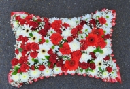 Pillow design  red and white