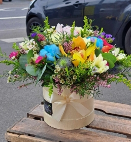 Rainbow hat box